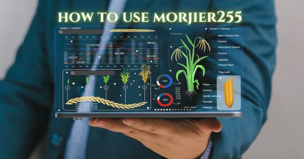 How to Use Morjier255 for Smart Ecological Data Insights