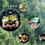 I N C R E A Strategy: Unified Path to Sustainable Success